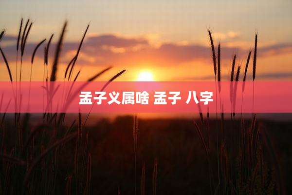 孟子义属啥 孟子 八字