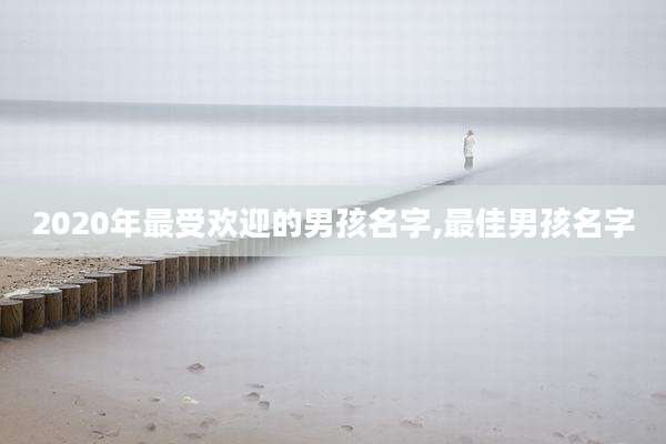 2020年最受欢迎的男孩名字,最佳男孩名字