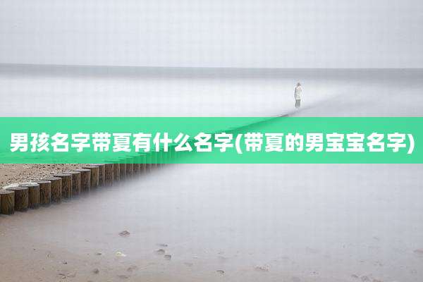 男孩名字带夏有什么名字(带夏的男宝宝名字)