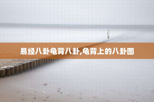 易经八卦龟背八卦,龟背上的八卦图