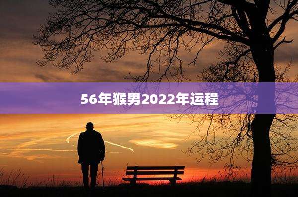 56年猴男2022年运程