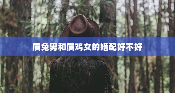 属兔男和属鸡女的婚配好不好