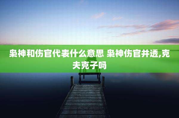 枭神和伤官代表什么意思 枭神伤官并透,克夫克子吗