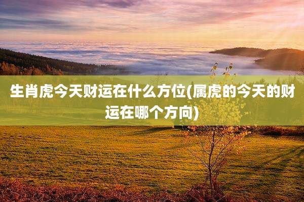 生肖虎今天财运在什么方位(属虎的今天的财运在哪个方向)