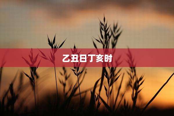 乙丑日丁亥时