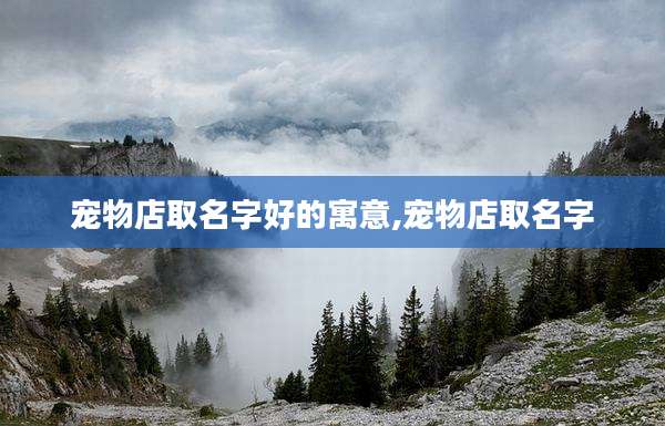 宠物店取名字好的寓意,宠物店取名字