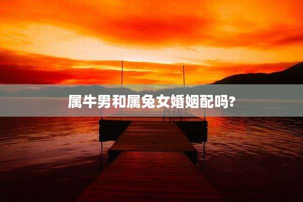 属牛男和属兔女婚姻配吗?