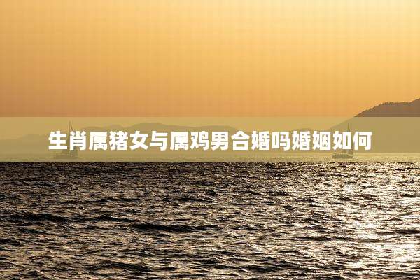 生肖属猪女与属鸡男合婚吗婚姻如何