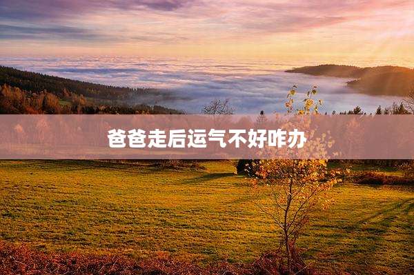 爸爸走后运气不好咋办