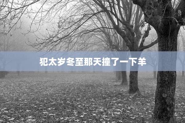 犯太岁冬至那天撞了一下羊