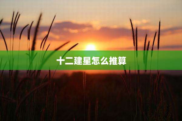 十二建星怎么推算