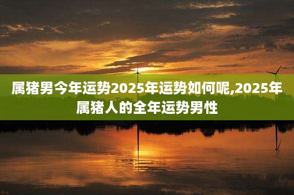 属猪男今年运势2025年运势如何呢,2025年属猪人的全年运势男性