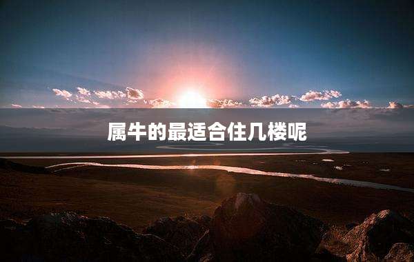 属牛的最适合住几楼呢
