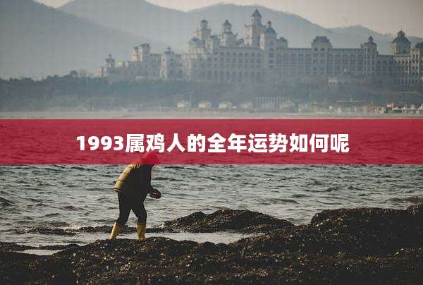 1993属鸡人的全年运势如何呢
