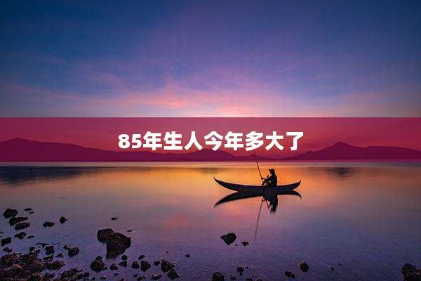 85年生人今年多大了