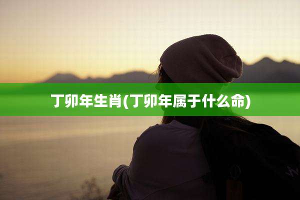 丁卯年生肖(丁卯年属于什么命)