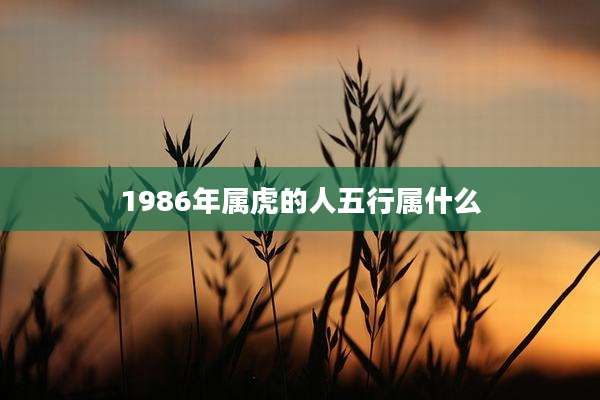 1986年属虎的人五行属什么