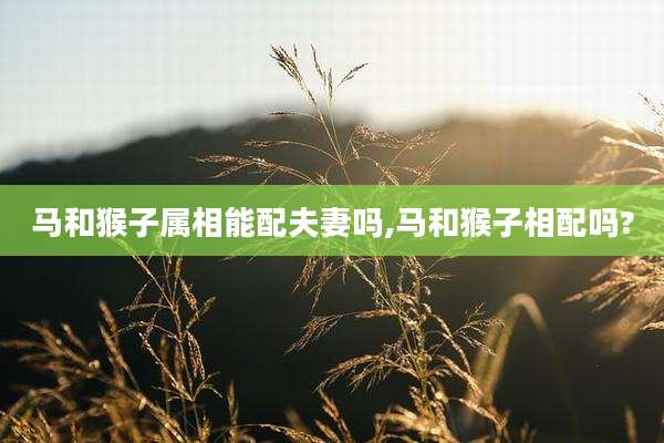 马和猴子属相能配夫妻吗,马和猴子相配吗?