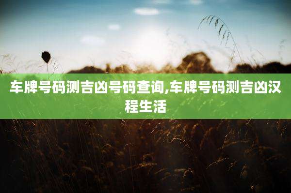 车牌号码测吉凶号码查询,车牌号码测吉凶汉程生活