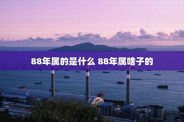 88年属的是什么 88年属啥子的