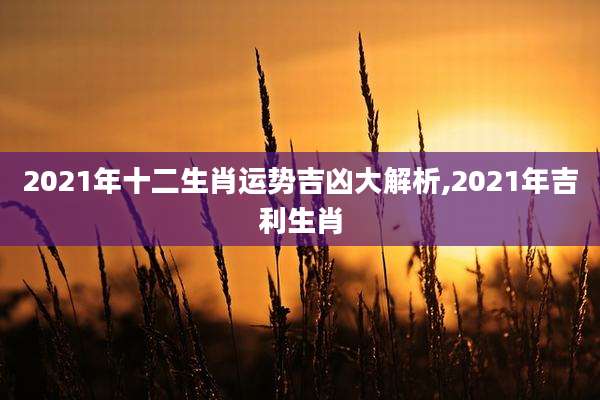 2021年十二生肖运势吉凶大解析,2021年吉利生肖