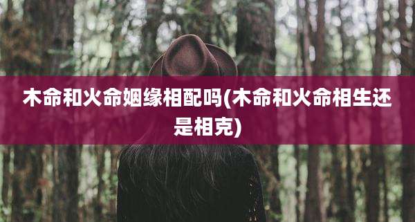 木命和火命姻缘相配吗(木命和火命相生还是相克)