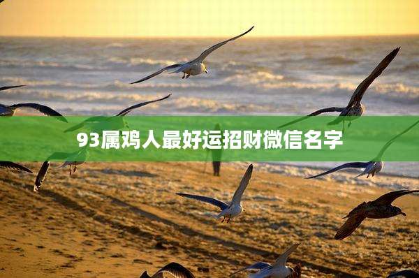 93属鸡人最好运招财微信名字