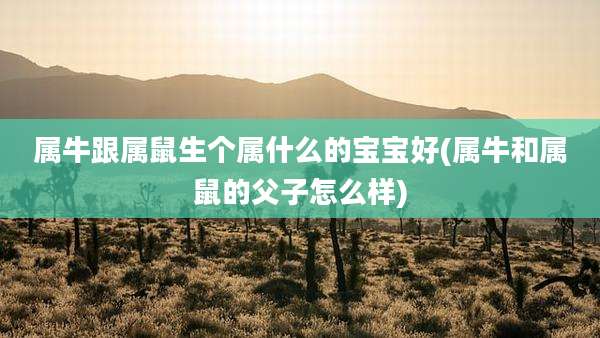 属牛跟属鼠生个属什么的宝宝好(属牛和属鼠的父子怎么样)