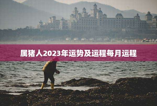 属猪人2023年运势及运程每月运程