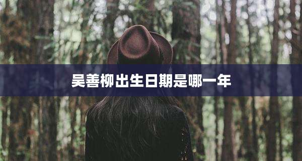 吴善柳出生日期是哪一年