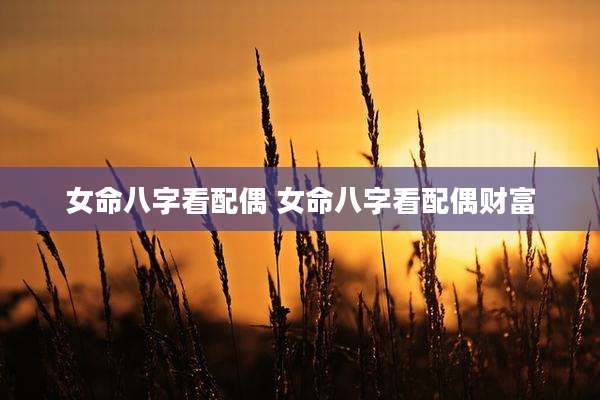 女命八字看配偶 女命八字看配偶财富
