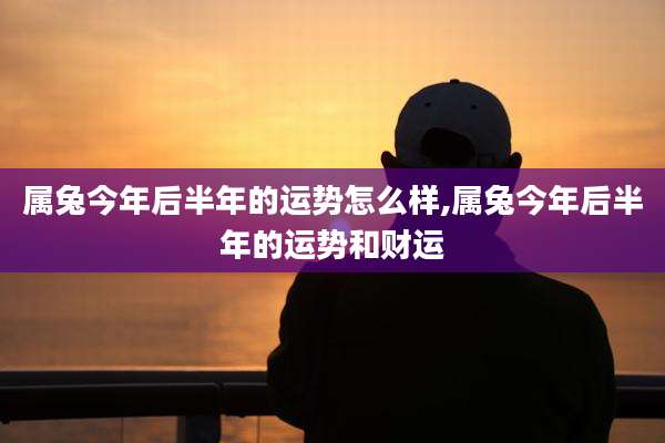 属兔今年后半年的运势怎么样,属兔今年后半年的运势和财运
