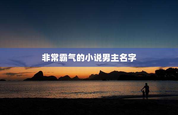 非常霸气的小说男主名字