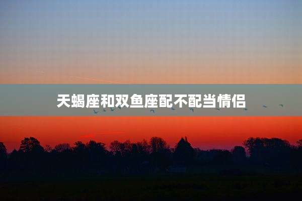 天蝎座和双鱼座配不配当情侣