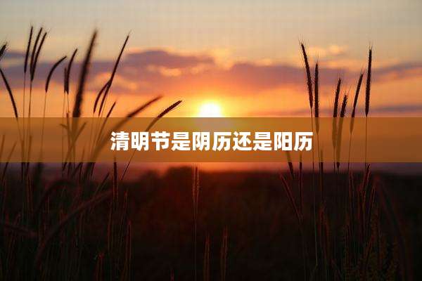 清明节是阴历还是阳历