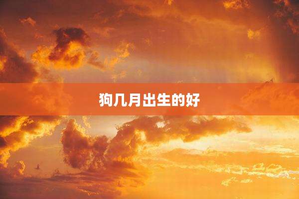 狗几月出生的好