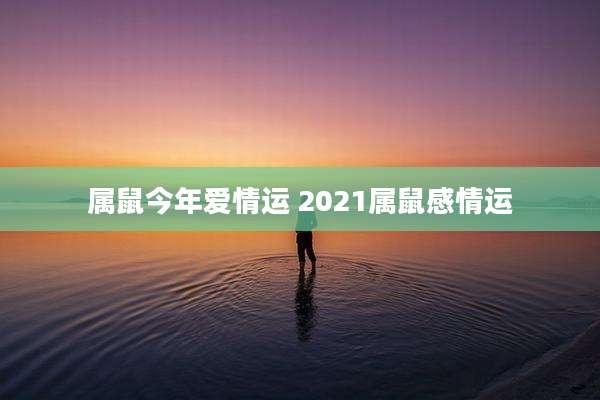 属鼠今年爱情运 2021属鼠感情运