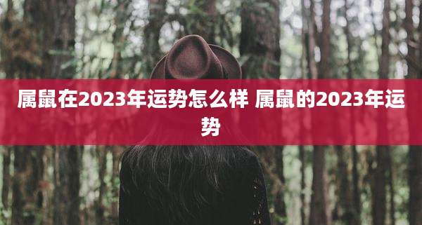 属鼠在2023年运势怎么样 属鼠的2023年运势
