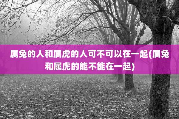 属兔的人和属虎的人可不可以在一起(属兔和属虎的能不能在一起)