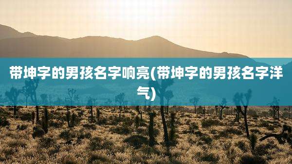 带坤字的男孩名字响亮(带坤字的男孩名字洋气)