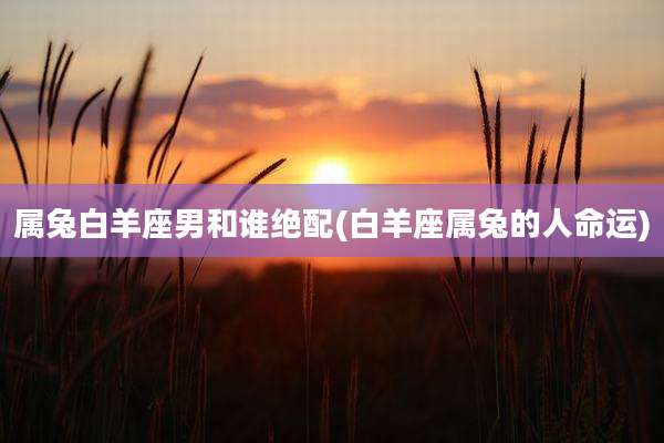 属兔白羊座男和谁绝配(白羊座属兔的人命运)