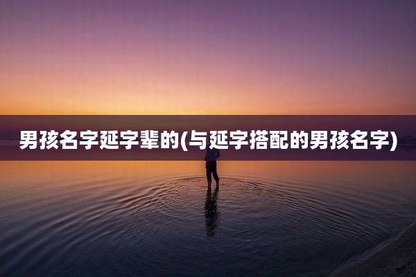 男孩名字延字辈的(与延字搭配的男孩名字)