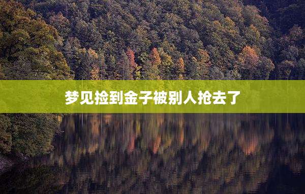 梦见捡到金子被别人抢去了