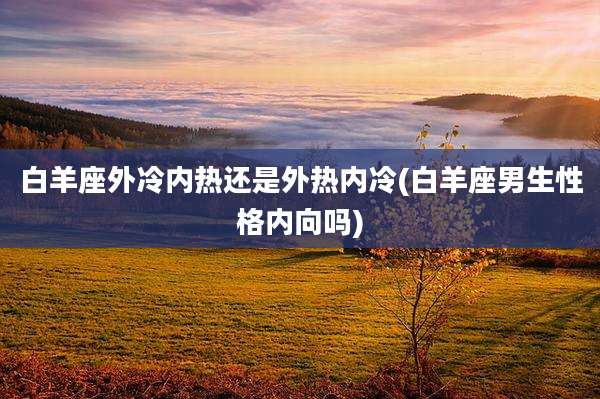 白羊座外冷内热还是外热内冷(白羊座男生性格内向吗)