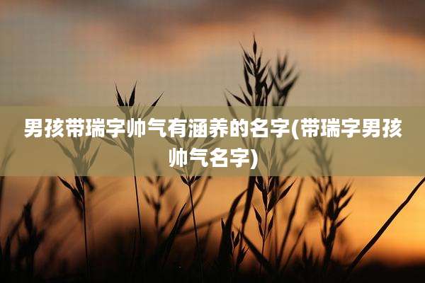 男孩带瑞字帅气有涵养的名字(带瑞字男孩帅气名字)