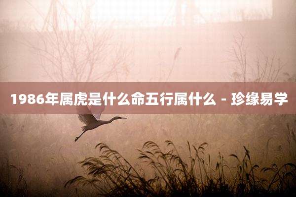 1986年属虎是什么命五行属什么 - 珍缘易学