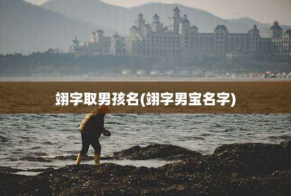 翊字取男孩名(翊字男宝名字)