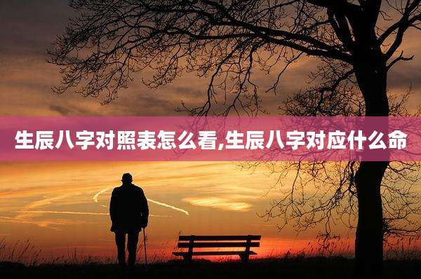 生辰八字对照表怎么看,生辰八字对应什么命
