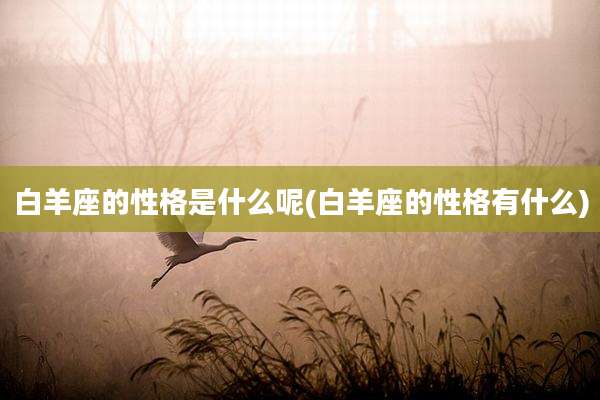 白羊座的性格是什么呢(白羊座的性格有什么)