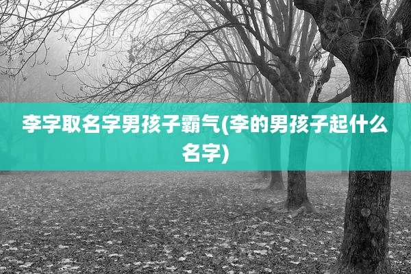李字取名字男孩子霸气(李的男孩子起什么名字)